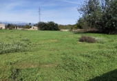 Suelo urbano en venta en la España, Llíria, ref: TR376812 foto
