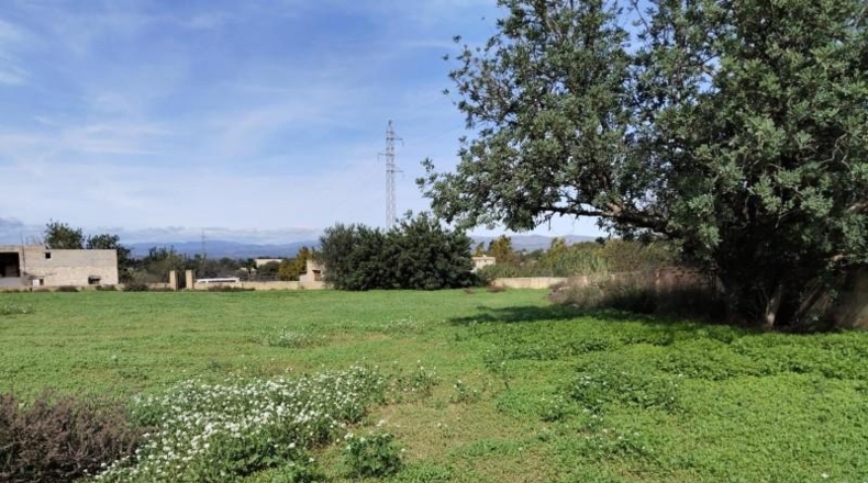 Valencia - Liria - 1349m2