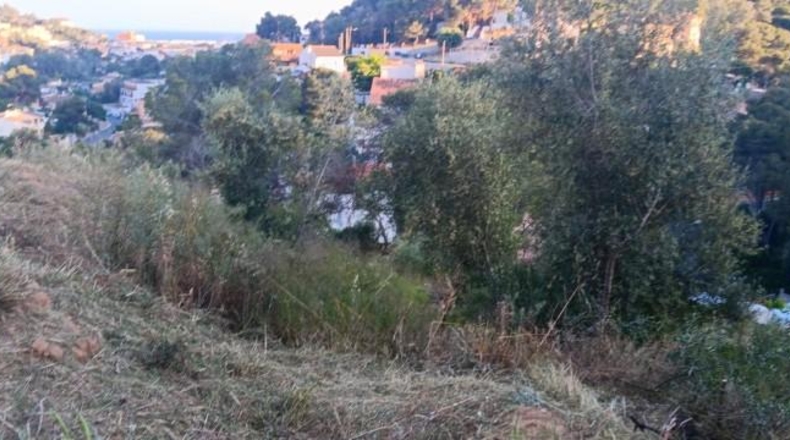 Barcelona - Cubelles - 846m2