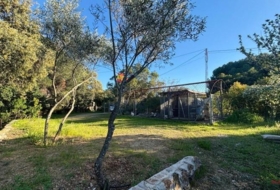 Foto 19