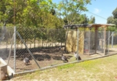 Casa de camp amb terreny en venda a la España, Còrdova, ref.: TR401570 foto