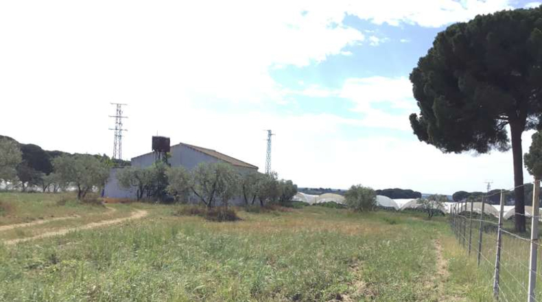 Huelva - Almonte - 10000m2