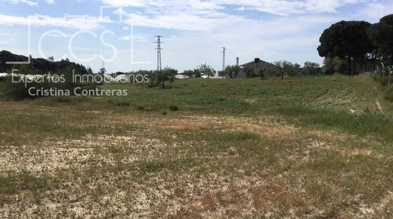 Huelva - Almonte - 10000m2