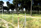Xalet independent amb terreny en venda a la España, Almonte, ref.: TR291509 foto
