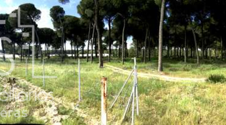 Huelva - Almonte - 10000m2