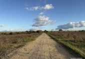 Finca rústica en venda a la España, Bollullos Par del Condado, ref.: TR372660 foto
