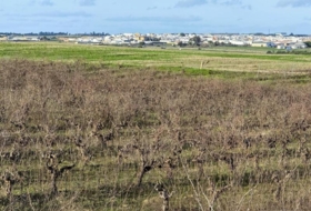 Bollullos Par del Condado 24070&nbsp;m² 