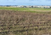 Finca rústica en venda a la España, Bollullos Par del Condado, ref.: TR372660 foto
