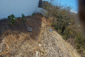 Foto 11