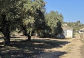 Casa de campo con terreno en venta en la España, Benigànim, ref: TR399165 foto