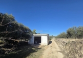 Casa de campo con terreno en venta en la España, Benigànim, ref: TR399165 foto
