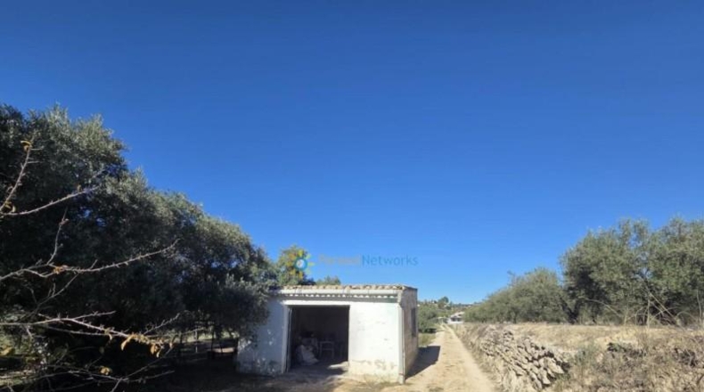 Valencia - Benigánim - 11483m2