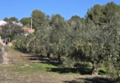 Casa de campo con terreno en venta en la España, Benigànim, ref: TR399165 foto