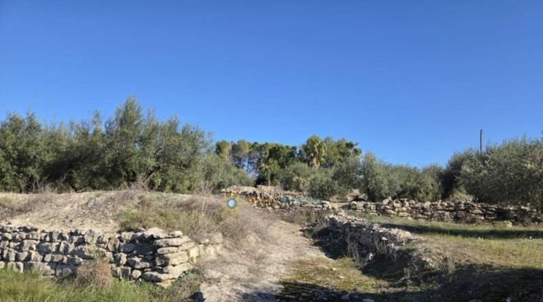 Valencia - Benigánim - 11483m2