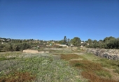 Casa de campo con terreno en venta en la España, Benigànim, ref: TR399165 foto