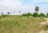 Parcela urbanizable en venta en la España, Carcaixent, ref: TR378431 foto