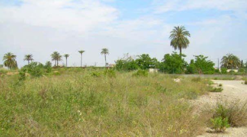 Valencia - Carcagente - 1033m2