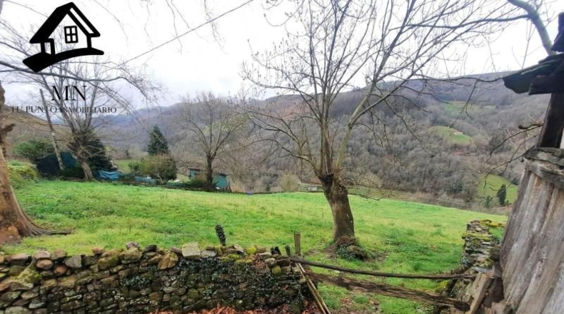Cantabria - Vega de Pas - 7353m2