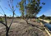 Casa de camp amb terreny en venda a la España, Bellreguard, ref.: TR399045 foto