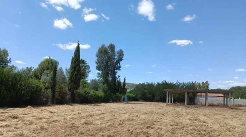 Córdoba - Córdoba - 3300m2