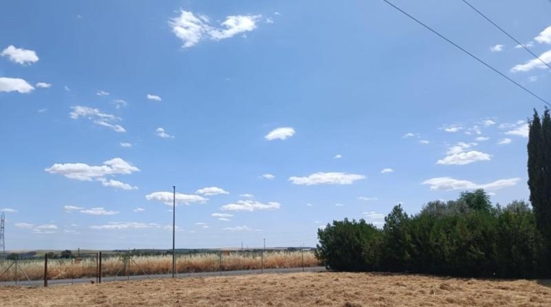 Córdoba - Córdoba - 3300m2