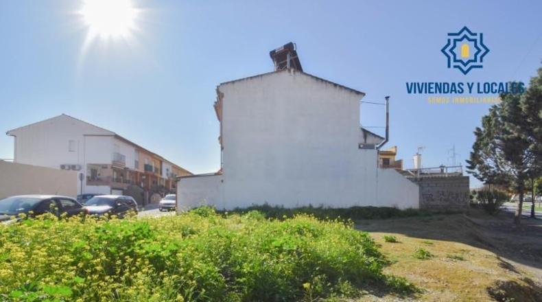 Granada - Cúllar Vega - 248m2