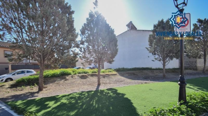 Granada - Cúllar Vega - 248m2