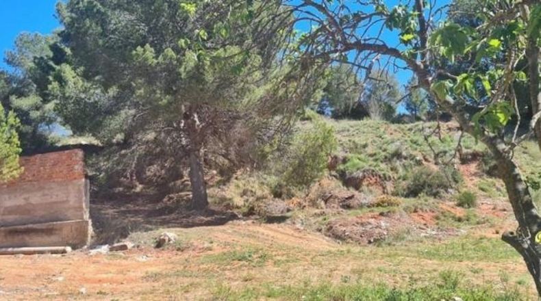 Tarragona - Vilaverd - 4358m2
