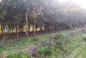 O Casal de Reis 2863&nbsp;m² 