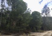 Terreno no urbanizable en venta en la España, Almonte, ref: TR173078 foto