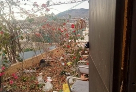 Foto 19