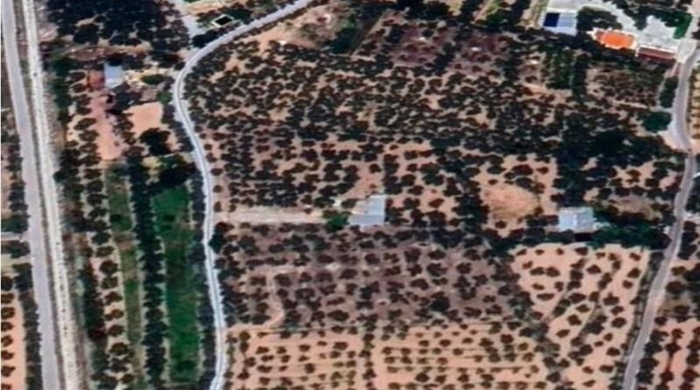 Granada - Baza - 9718m2