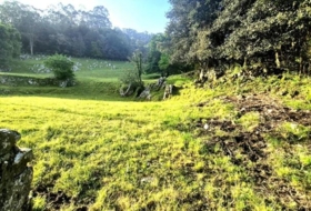 Balbacienta 6478&nbsp;m²