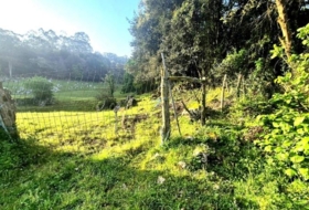 Balbacienta 6478&nbsp;m²