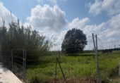 Suelo urbano en venta en la España, Polinyà de Xúquer, ref: TR407397 foto