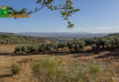 Suelo urbano en venta en la España, Alfacar, ref: TR238277 foto