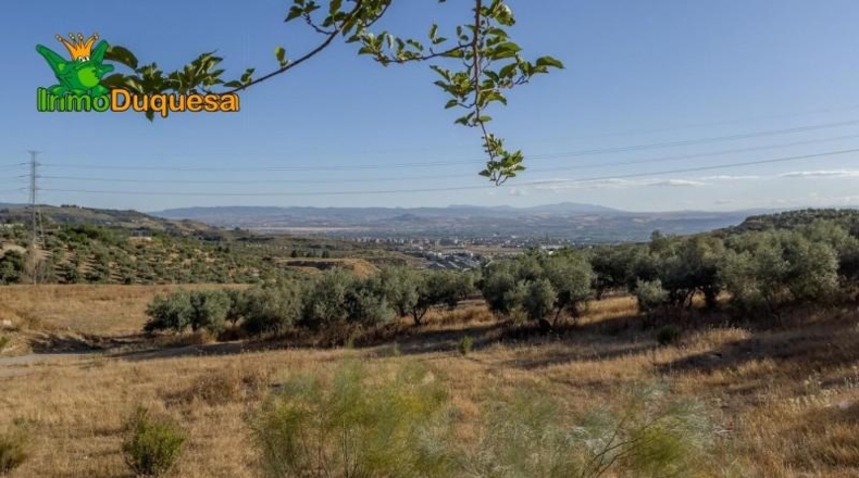 Granada - Alfacar - 1749m2