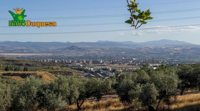 Granada - Alfacar - 1749m2