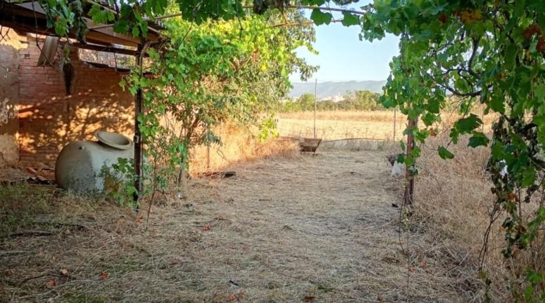 Córdoba - Córdoba - 838m2