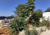 Suelo urbano en venta en la España, Lanjarón, ref: TR254933 foto