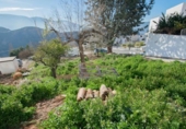 Suelo urbano en venta en la España, Lanjarón, ref: TR254933 foto