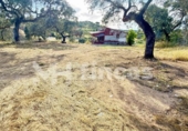 Chalet independiente con terreno en venta en la España, El Ronquillo, ref: TR409523 foto