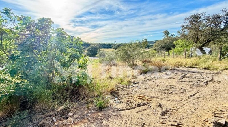 Sevilla - El Ronquillo - 8500m2