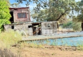 Chalet independiente con terreno en venta en la España, El Ronquillo, ref: TR409523 foto
