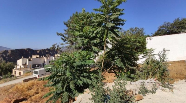 Granada - Lanjarón - 325m2
