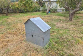 Foto 12
