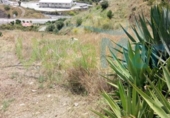 Parcela urbanizable en venta en la España, Almuñécar, ref: TR113218 foto