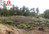 Chalet independiente con terreno en venta en la España, A Peroxa, ref: TR295948 foto
