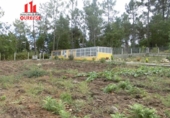 Chalet independiente con terreno en venta en la España, A Peroxa, ref: TR295948 foto