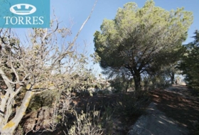 Villa de Otura 608&nbsp;m²